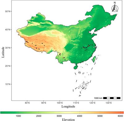 Metagenomics reveals the diversity and role of surface-water microbes in biogeochemical cycles in lakes at different terrain ladders